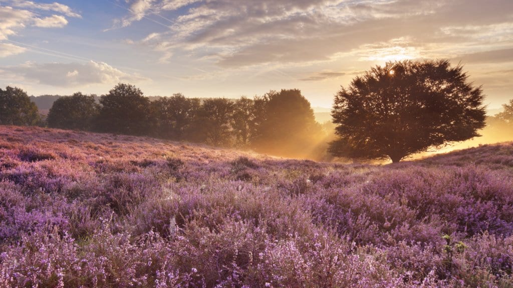 Personal trainer Blaricum