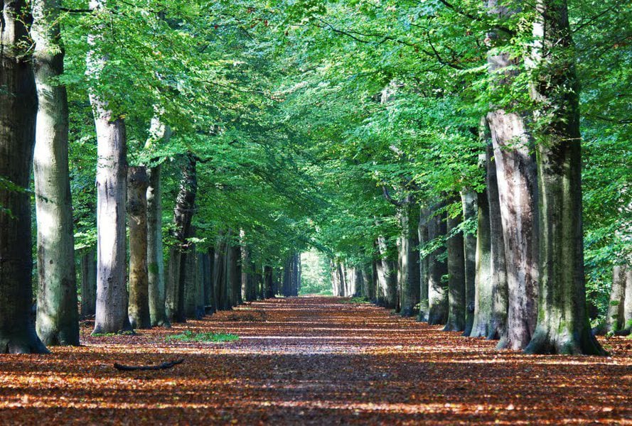 Personal trainer Utrecht